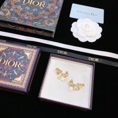 Christian Dior Earrings